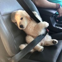ᴏʀʙɪᴛɪɴɢʏᴏᴜ (@starorbitingyou) 's Twitter Profile