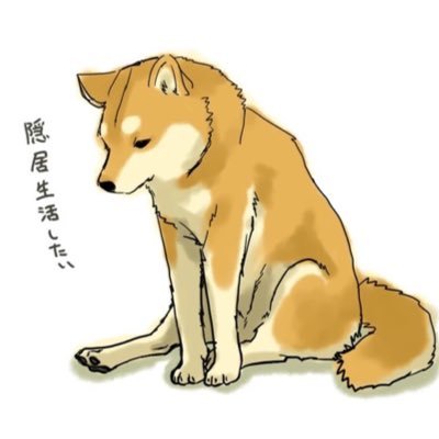 06 大学2年生 TikTokライバー OMAETACHIにやっと入れたぜ!! かまいたちの濱家さんとネプチューンの原田泰造さんがすきです。やっと19歳になりました! 今は、何よりも彼氏が欲しいです!硬式テニスが下手ですけど好きです‼️ シングルスよダブルスのほうが得意です! あと、猫とか犬が好きです!!
