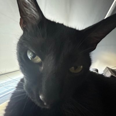 jkashR6's profile picture. my support hard | @plunkR6 @KompyR6