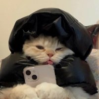 reverieee ๐ (@reverieval) 's Twitter Profile Photo reverieee ๐ (@reverieval) 's Twitter Profile Photo