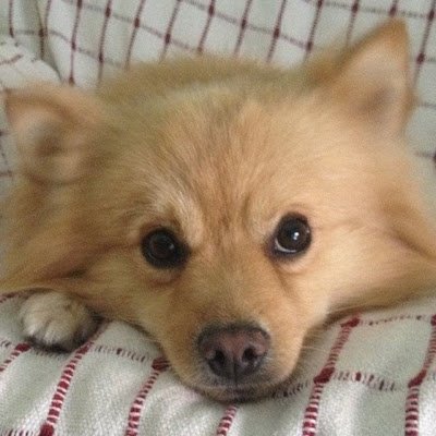 drnlitddh's profile picture. NFT trader connecting ecosystems
Sahara #0256330