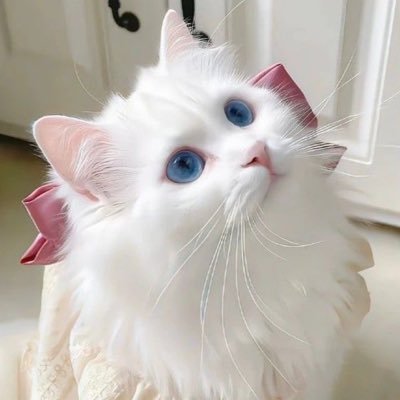 ztj96888's profile picture. 