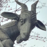 Gurare@興味垢 (@gurare24) 's Twitter Profile