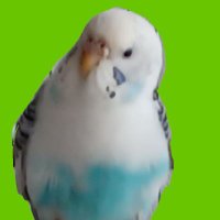 tsuneki (@htsunek) 's Twitter Profile Photo tsuneki (@htsunek) 's Twitter Profile Photo