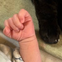 ふぃ👶🏻🦖7m (@hahafee_rnrn) 's Twitter Profile