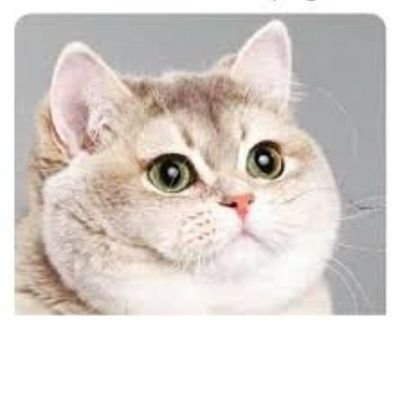 danidani1247529's profile picture. 