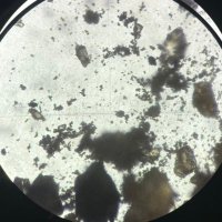 Y (@hackdeki) Twitter profile photo