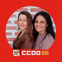 CCOO hospital gral. de Elche. (@ccoo_hgue) 's Twitter Profile Photo