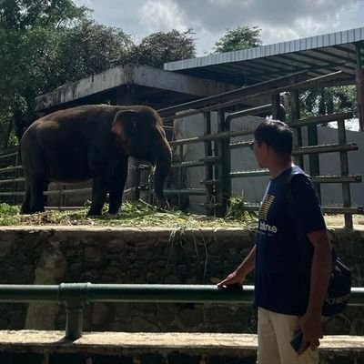 andylimi1880's profile picture. 