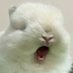 bé iu (@tv_luxy) Twitter profile photo bé iu (@tv_luxy) Twitter profile photo