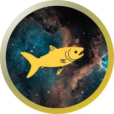 kin_Syake's profile picture. 30代の雑多な趣味アカ | サカナクション🐟＊NF 深海 | Nikon＊Z5Ⅱ | スカロケ🚀 | JUNK | 界隈の方々よろしくお願いします〜