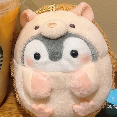 s_1030_02_'s profile picture. こち💛🦔 ＋ コウペンちゃん🐧 = こちペンちゃん💛🦔🐧/🌼※コウペンちゃんを自担と錯覚してる人間