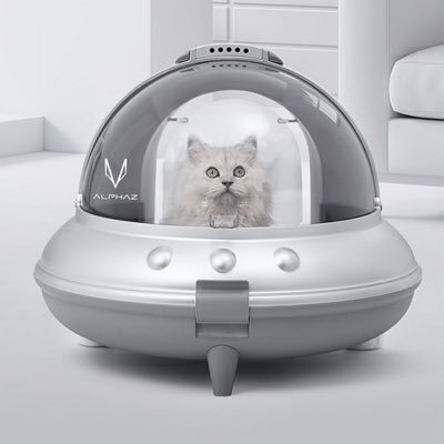 nemuichan_withu's profile picture. ┊成人済 ♂┊生息地 ▸ 東北┊ALPHAZ 兼 WithU予備軍┊ ♡ͥ倉木麻衣さん♡ͦ宗原ひなたちゃん♡ͮ小合麻由佳ちゃん♡ͤ Next ↪︎ 〚ᴍᴀɪ-ᴋ〛 宮城 ¹¹/₂₃ ▸ 東京 ¹²/₁₃ ▸ 〚xɢ〛 横浜 ▸ ²/₆ ₇ ₈ ▸ 宮城 ³/₂₀