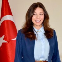 Petek Eskioglu (@petekeskgl) Twitter profile photo