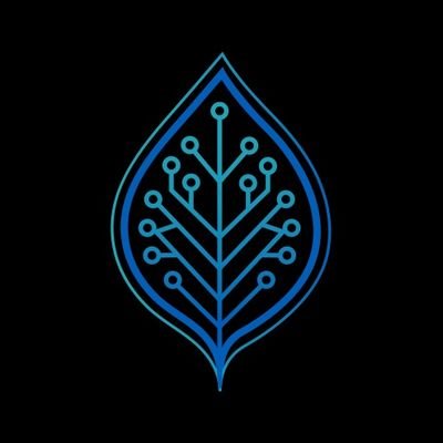 Founder & CEO of Glades AI | https://t.co/IbZHoauzbi |
Computer Programmer
