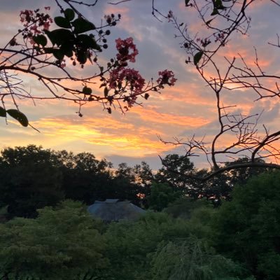 uhPBOFlAKbWeaFR's profile picture. 航大72回生Ⅳ期