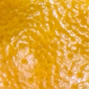 morikuma1026's profile picture. どつ本に萌えを覚えました 成人済