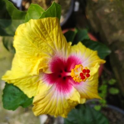 supriyo982's profile picture. ❤️❤️❤️