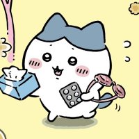 はちわれの後方保護者面見守り (@bqqh0gbmnl79845) 's Twitter Profile