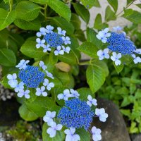 mkt@双極性障害 (@xtwdjz40tg99709) Twitter profile photo