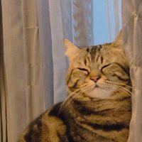 mooney🌙 (@notyourpraie) 's Twitter Profile Photo mooney🌙 (@notyourpraie) 's Twitter Profile Photo