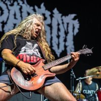 KING PARROT (@kingparrotband) 's Twitter Profile