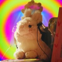 heesooㅣPit Stop (@andatortoise) 's Twitter Profile Photo