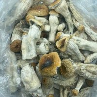 smithymushroomsltd (@smithymush9584) 's Twitter Profile