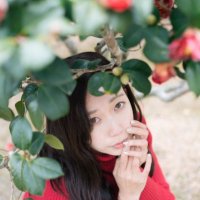 ミント (@minthkj) Twitter profile photo