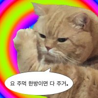 고양이마을청년이장🐱 (@lgim8561) 's Twitter Profile Photo 고양이마을청년이장🐱 (@lgim8561) 's Twitter Profile Photo