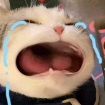 tnachann's profile picture. 🤍❤️‍🩹🩵💛