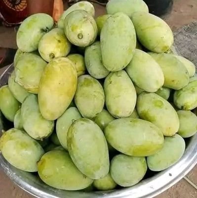 RvicO17877's profile picture. 