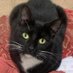twitt_her (@certifiedstray) Twitter profile photo twitt_her (@certifiedstray) Twitter profile photo
