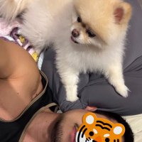 헤더 (@zone_zzang) 's Twitter Profile
