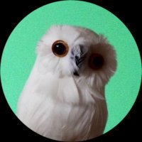 ふく𓅓 ろう𓅓 さん (@eight11121) 's Twitter Profile Photo ふく𓅓 ろう𓅓 さん (@eight11121) 's Twitter Profile Photo