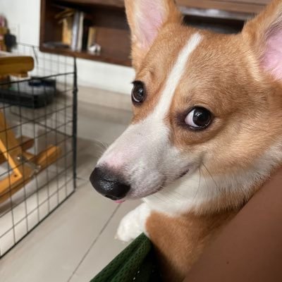 AndyNgoLe's profile picture. 