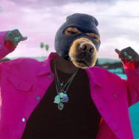 BASE GANG (@base_gangs) 's Twitter Profile Photo BASE GANG (@base_gangs) 's Twitter Profile Photo