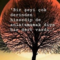 Serdar (@serdar359045) 's Twitter Profile