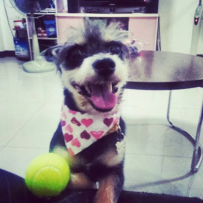 yp_kp91946's profile picture. 