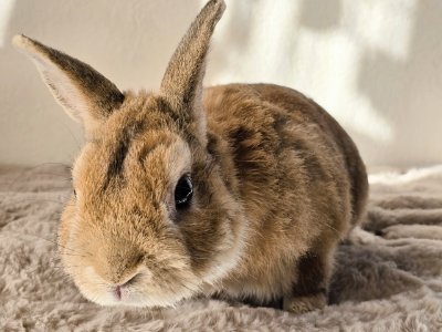 AhZg9o's profile picture. 「映画は時代を超える宝物。マリリン・モンロー、ジョン・ウェイン…往年の名作から日本映画まで愛好。時代劇、青春、喜劇、ミュージカル、推理、オカルト、西部劇など語り合い歓迎！
Amazonアソシエイト参加中。」