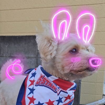 Ko176320's profile picture. 