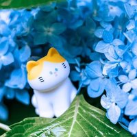 あめ (@___fumof) 's Twitter Profile