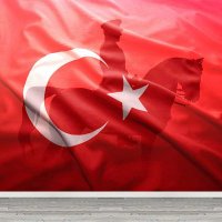 Alper Ünler (@a94alper) Twitter profile photo