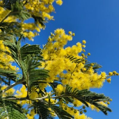 sylv1templier's profile picture. ancien Député, commissaire @AN_DevDur ,
Ostéopathe DO. Ancien IDE hôpital public. 🏉Rugbyman #XVParlementaire