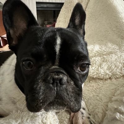 JodiDeSantiago's profile picture. SAHM and appointment coordinator of the De Santiago clan...