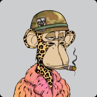 $im$om (@buddysiu98266) 's Twitter Profile Photo $im$om (@buddysiu98266) 's Twitter Profile Photo