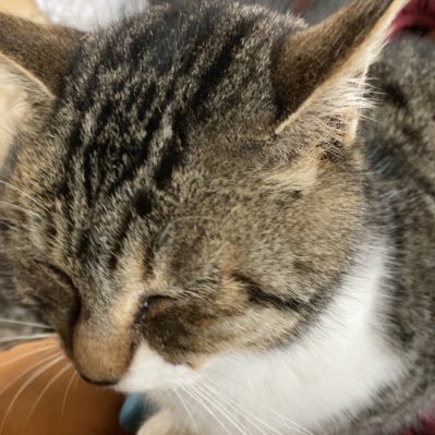 ハヤトさんのプロフィール画像