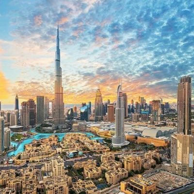 LolliPip11's profile picture. It is never too late to be who you might have been. NFA!