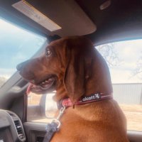 RedZridge (@redzridge) 's Twitter Profile