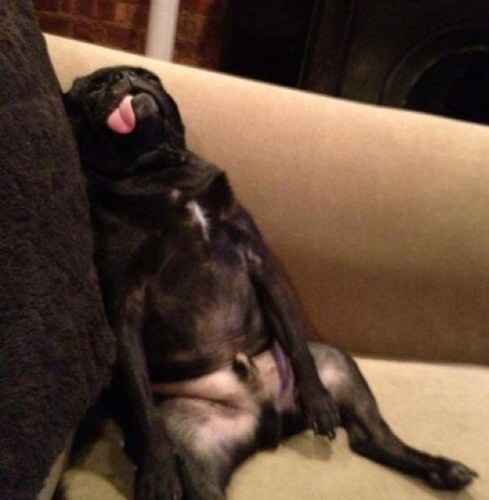 razor_ro's profile picture. 